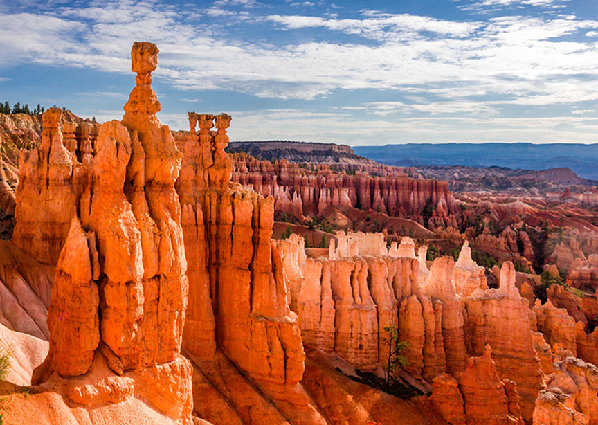 Bryce Canyon Utah USA Hoodoo orange rock formations