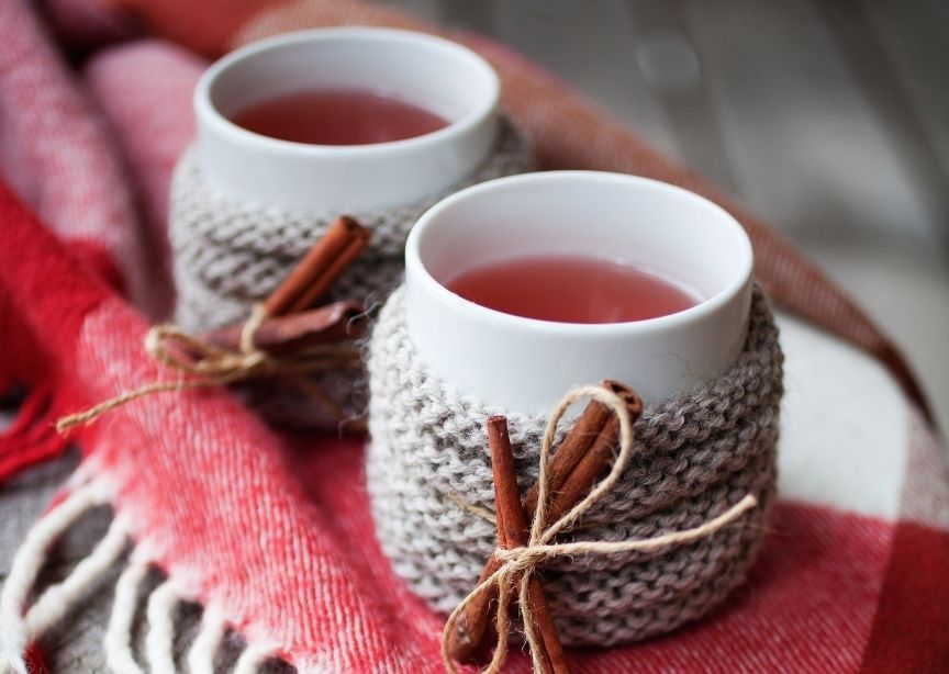 Canada Candian Caribou Winter Cocktails on Red Blanket