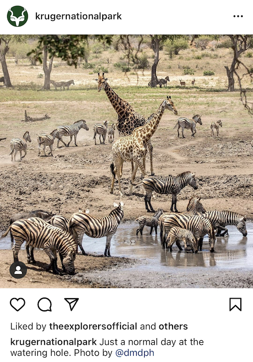 Kruger National Park South Africa Instagram