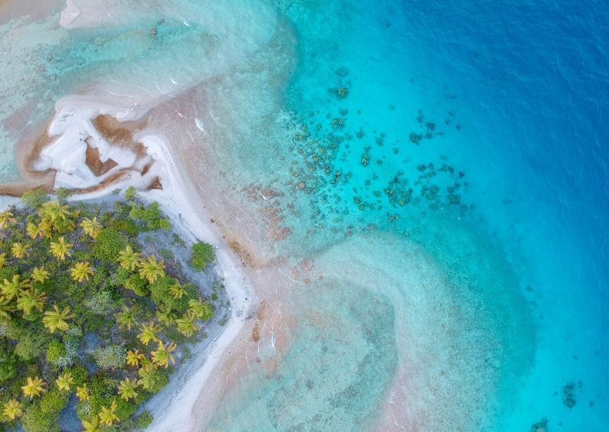 French Polynesia Tahiti Moorea Island Overhead Aerial Drone Sand Beach Palm Foret