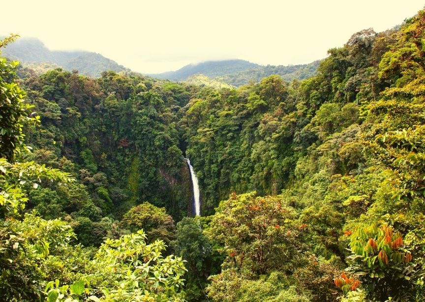 Costa Rica La Fortuna Rainforest View Jungle