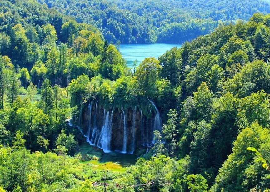 Europe Croatia Plitvice National Park Waterfall Pool Forest