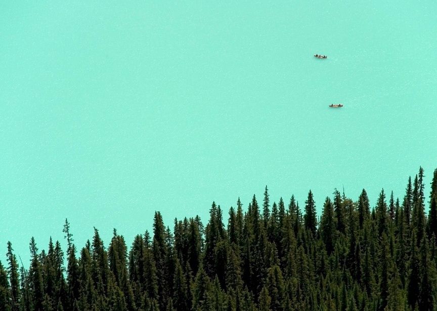 North America Canada Alberta Lake Louise Overhead Aerial Drone Water Forest and Canoes