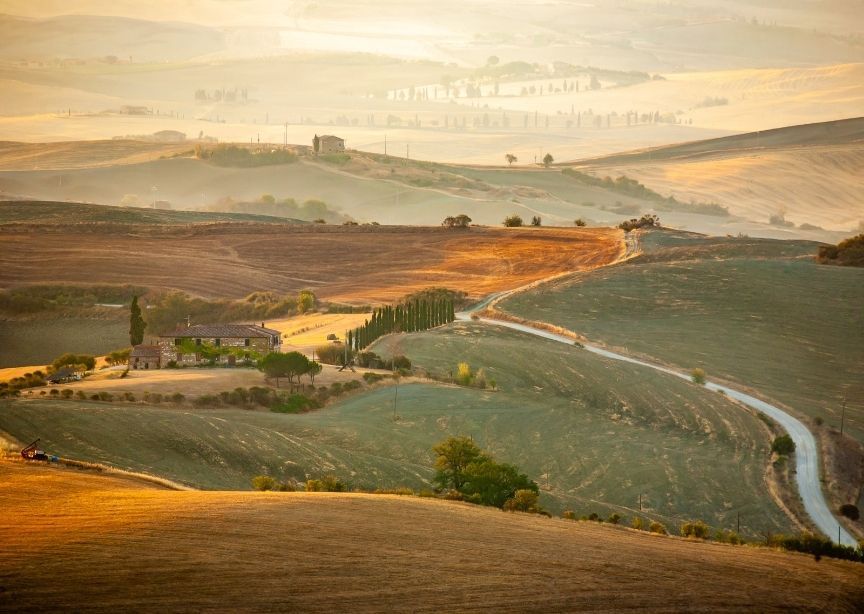 Europe Italy Tuscany Farmland Vineyards Rolling Fields