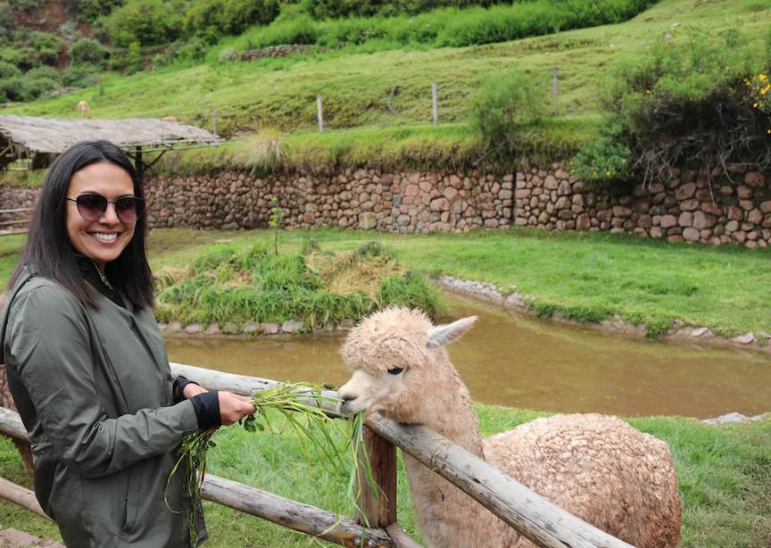 Female traveler with sunglasses smiling with a llama in Peru