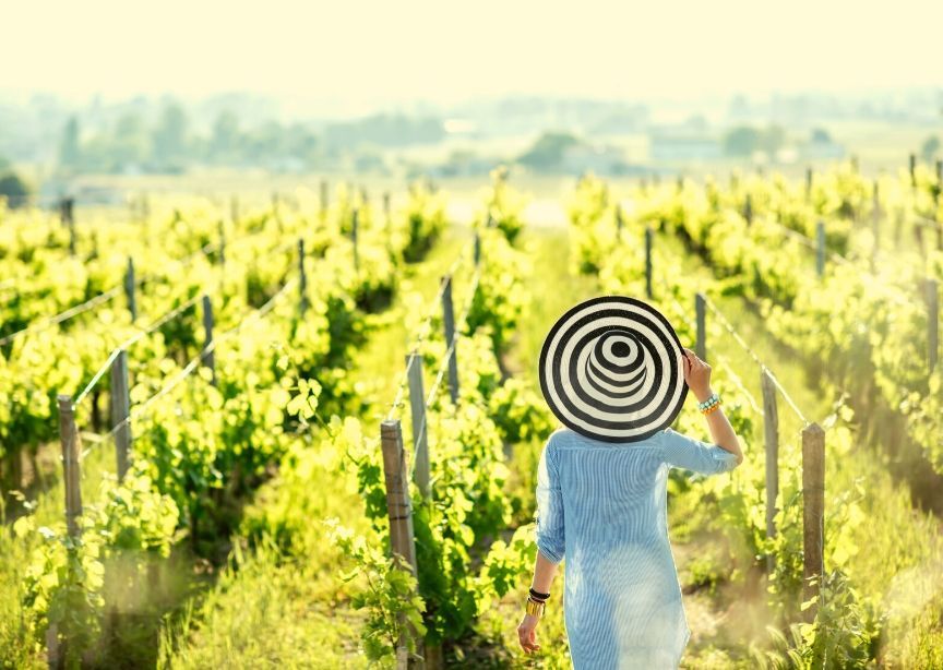 USA California Napa Sonoma female traveler in vineyard