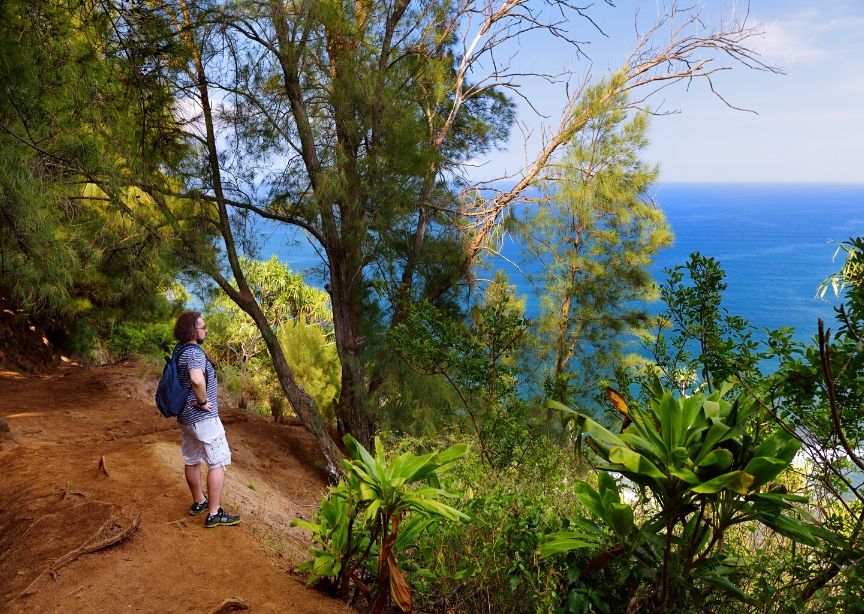 USA Hawaii Big Island local islander guide leading walk