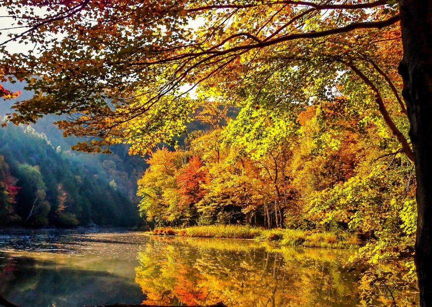 USA Vermont trees and lake at fall