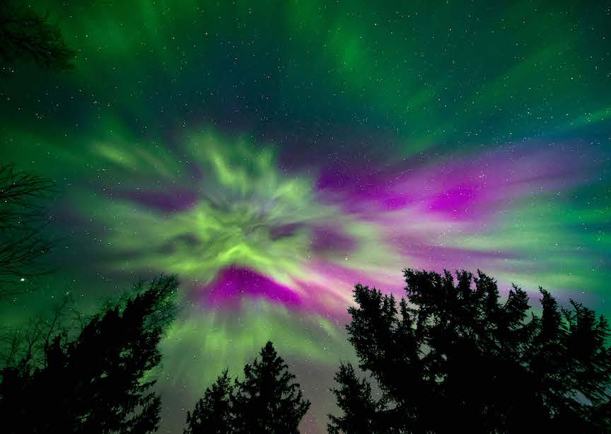 USA Northern Lights Alaska Forest