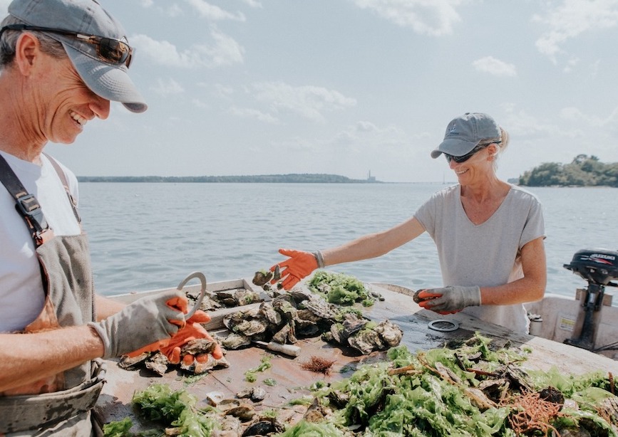 Glidden Point Oyster Farm Maine USA 