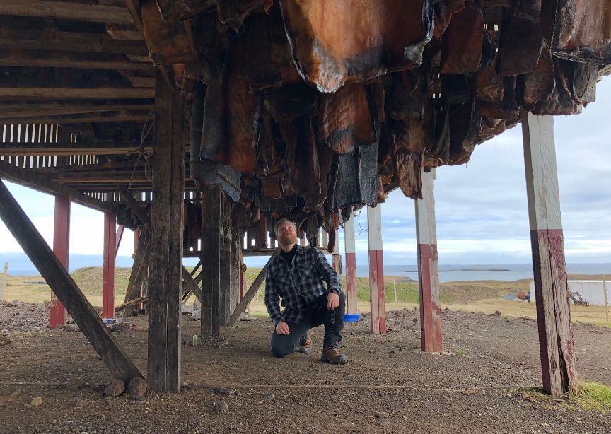 Iceland tour guide under beach pier 
