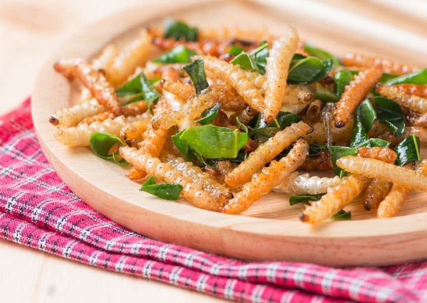 South Africa Christmas Caterpillars on a Plate