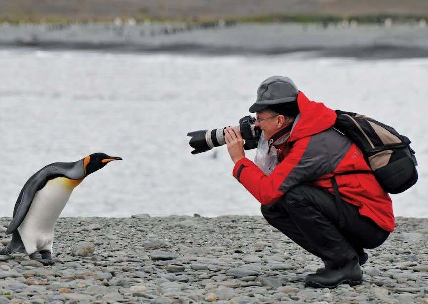 Antarctica guest photographing penguin