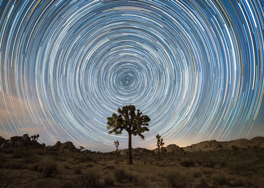 USA California Joshua Tree National Park Star Trails